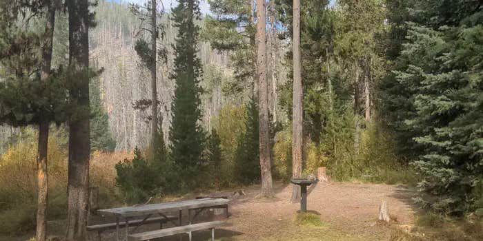 Camper submitted image from Chinook Campground