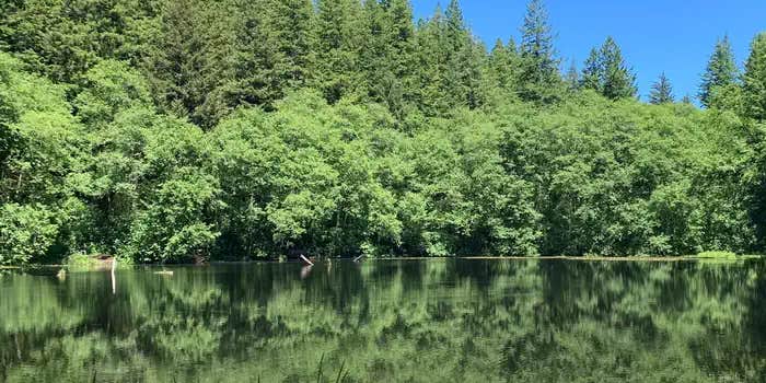 Camper submitted image from Hebo Lake Campground