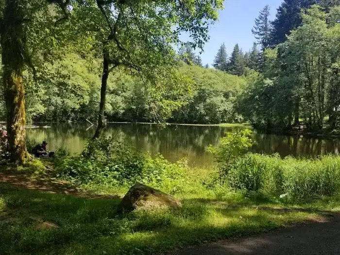 Camper-submitted photo at Hebo Lake Campground near Beaver, OR