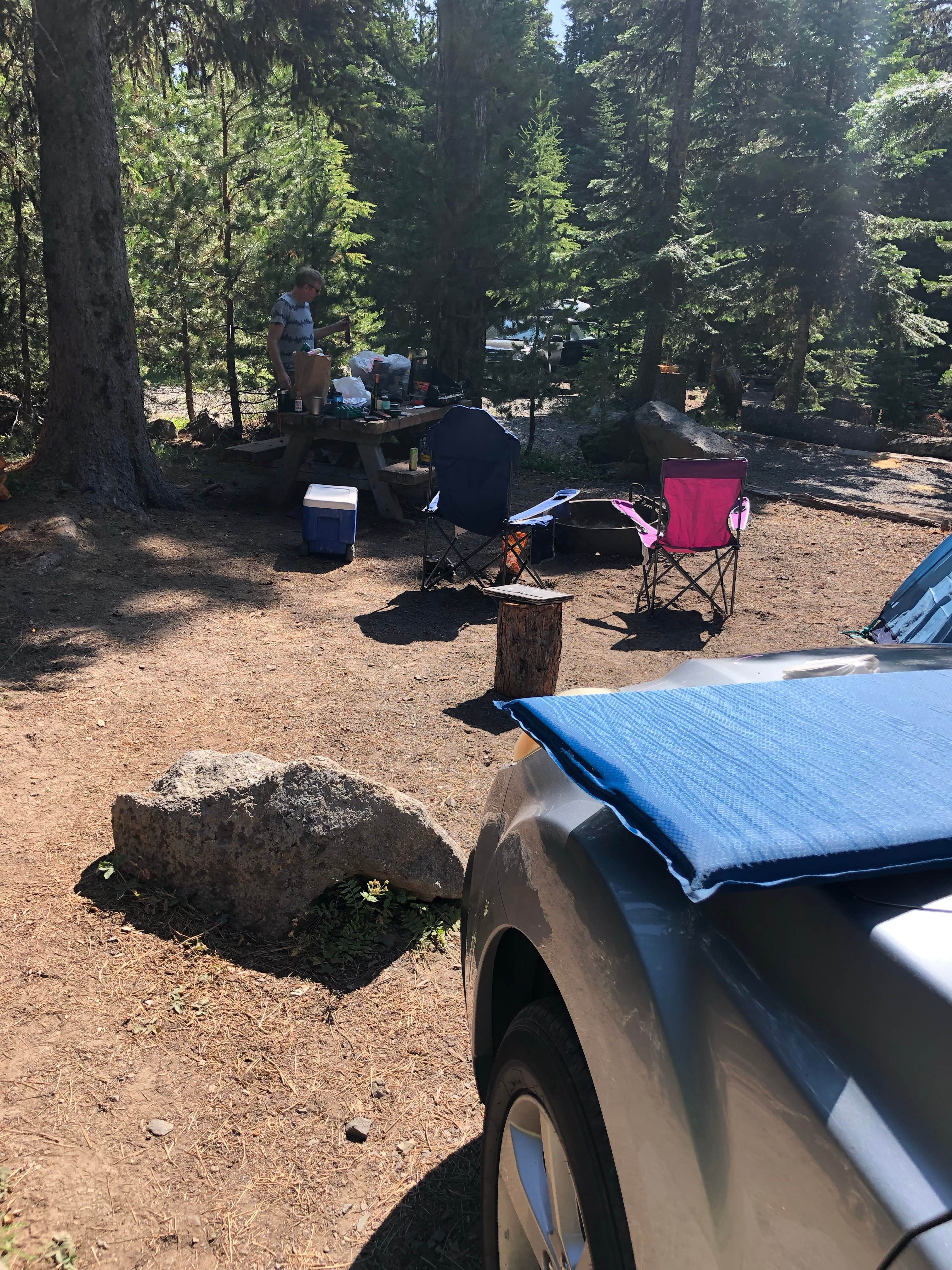 Camper submitted image from Fifteenmile Campground - 2