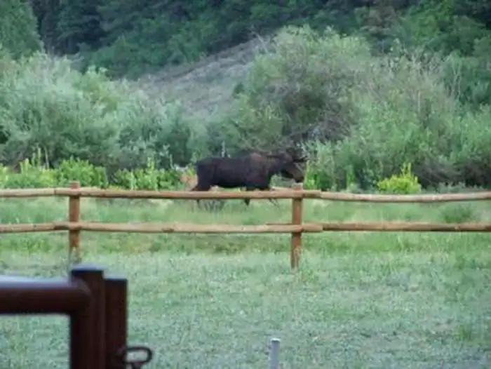Camper-submitted photo at Palisades Horse Camp near Pagosa Springs, CO
