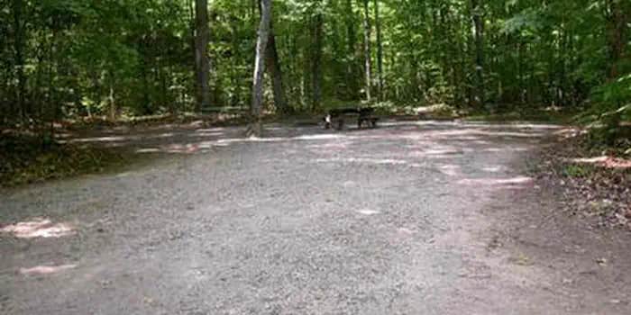 Camper submitted image from Pete's Lake Campground