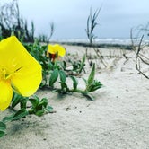 Review photo of Galveston Island State Park Campground by Leah F., August 6, 2019