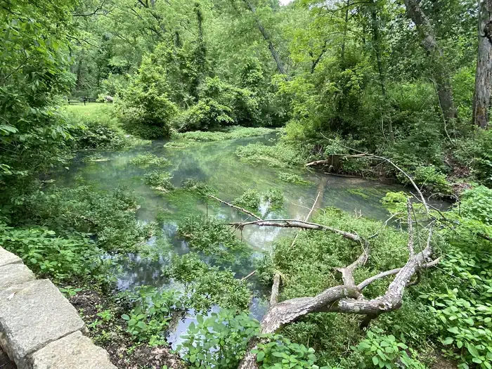 Camper-submitted photo at Mark Twain National Forest Lane Spring Recreation Area near Newburg, MO