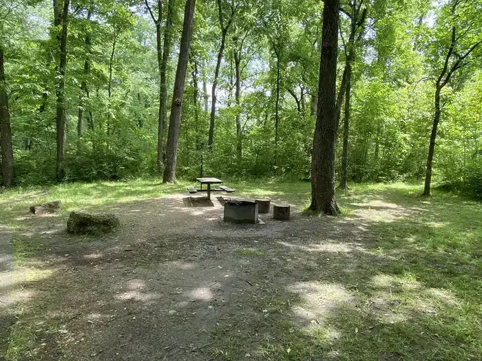 Camper-submitted photo at Mark Twain National Forest Lane Spring Recreation Area near Newburg, MO
