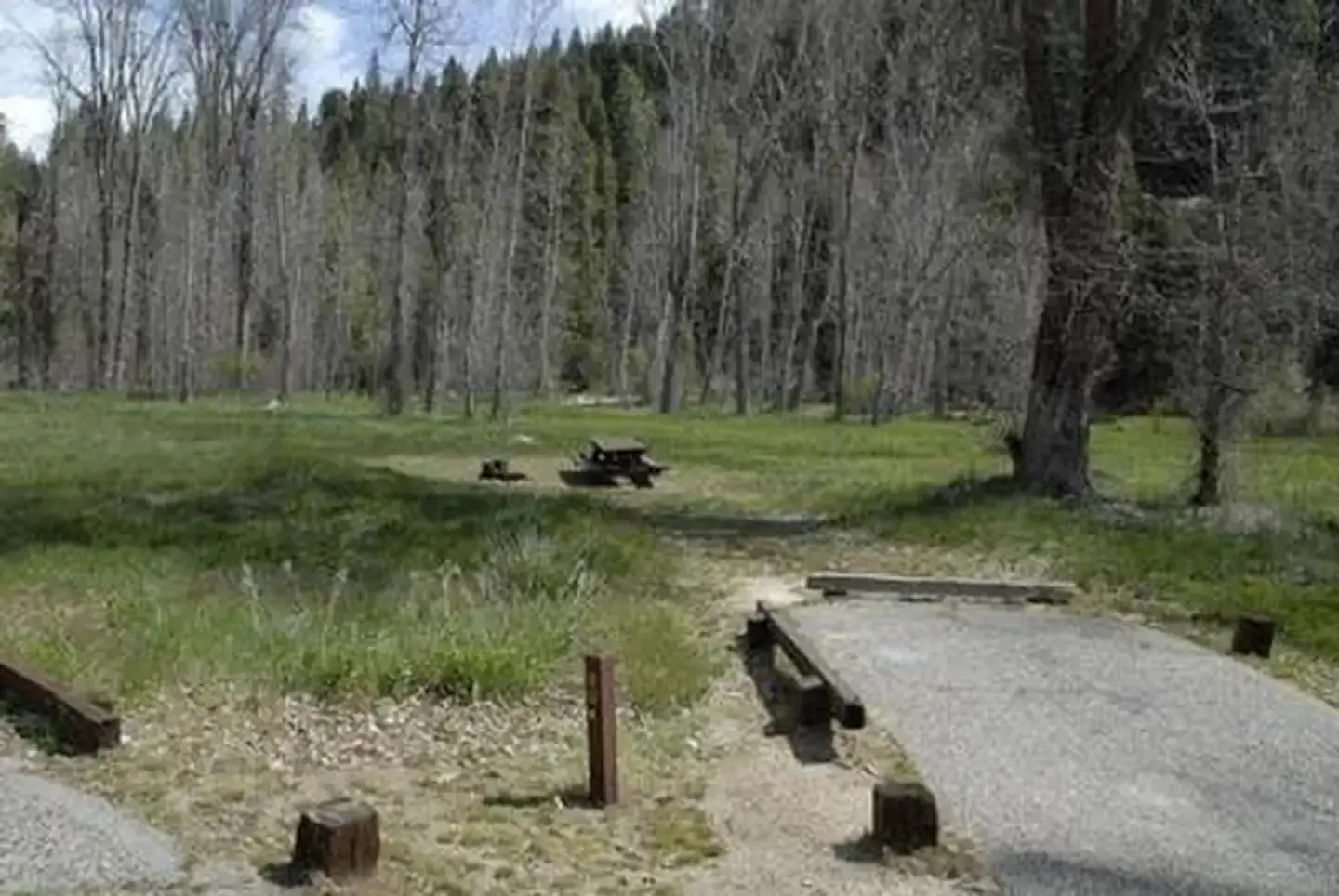 Camper-submitted photo at Summerdale Campground - Sierra National Forest near Wawona, CA