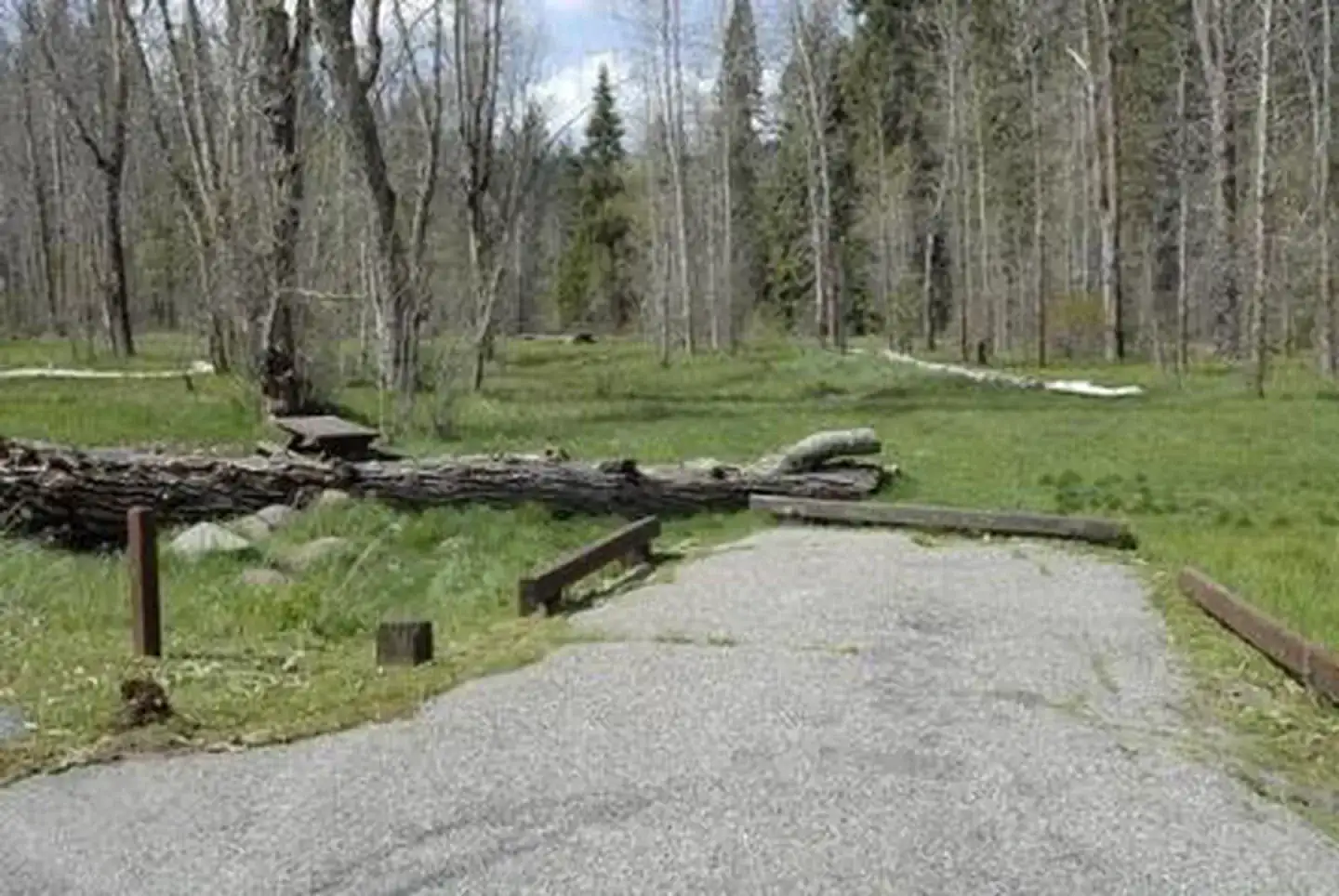 Camper-submitted photo at Summerdale Campground - Sierra National Forest near Wawona, CA