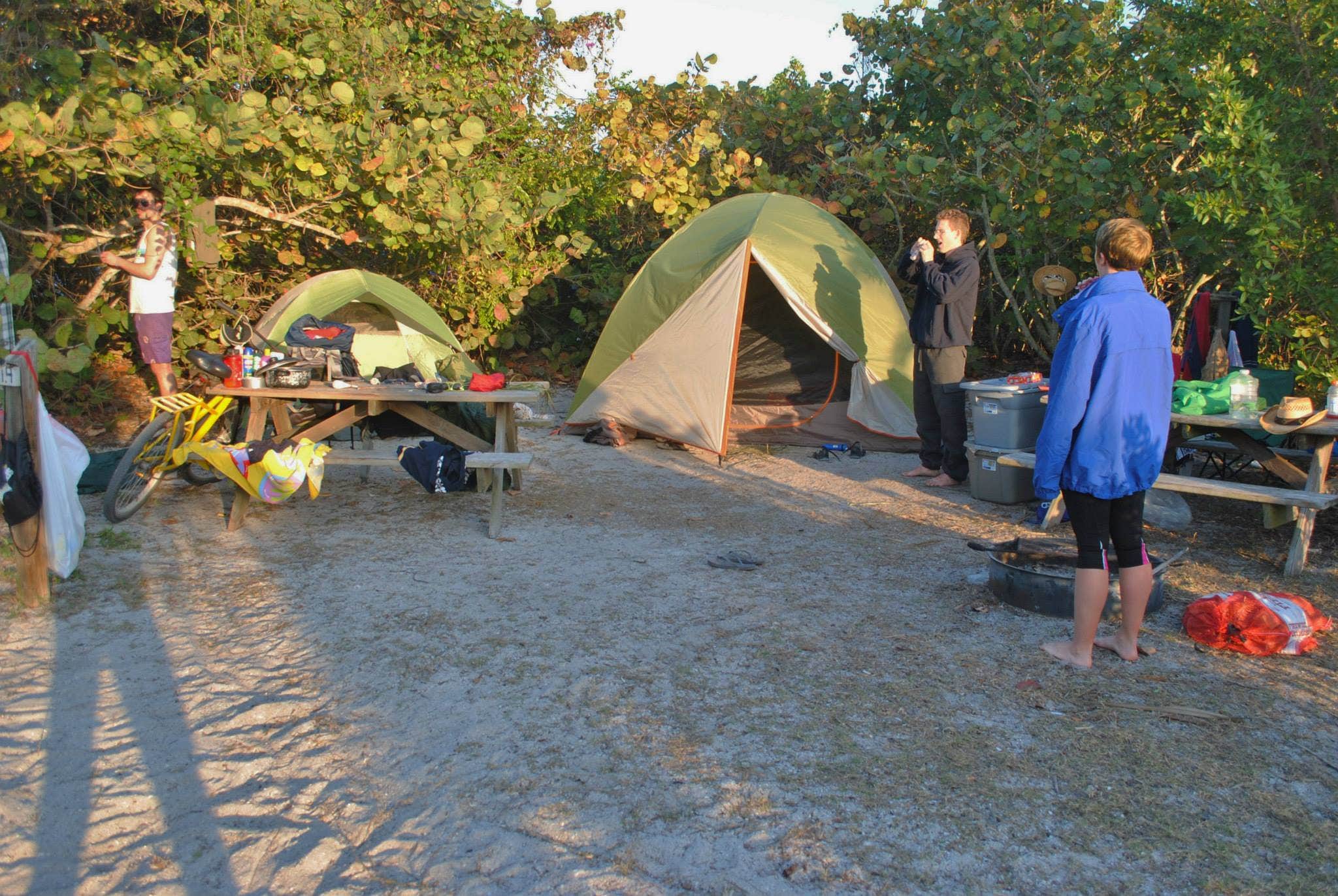 Camper submitted image from Cayo Costa State Park Campground - 3