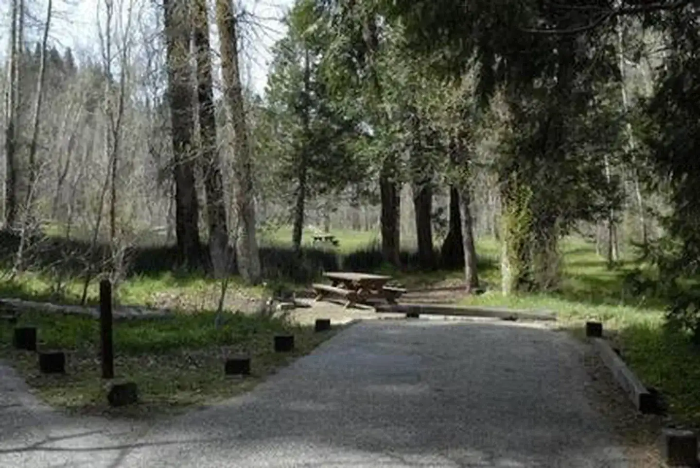 Camper-submitted photo at Summerdale Campground - Sierra National Forest near Wawona, CA