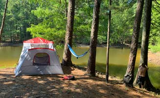 Leah F.'s photo at Indian Mounds Recreation Area near Brookeland, TX