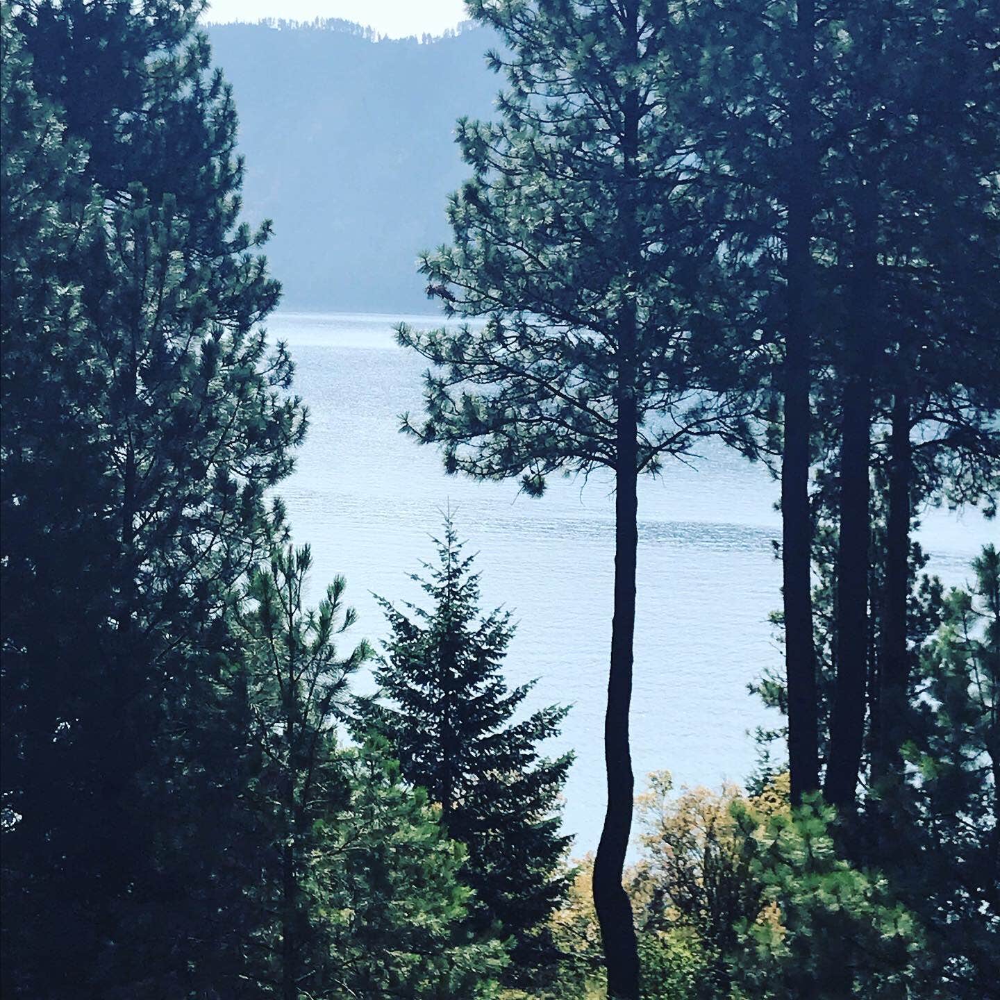 Camper-submitted photo at Snowberry Campground — Farragut State Park near Bayview, ID