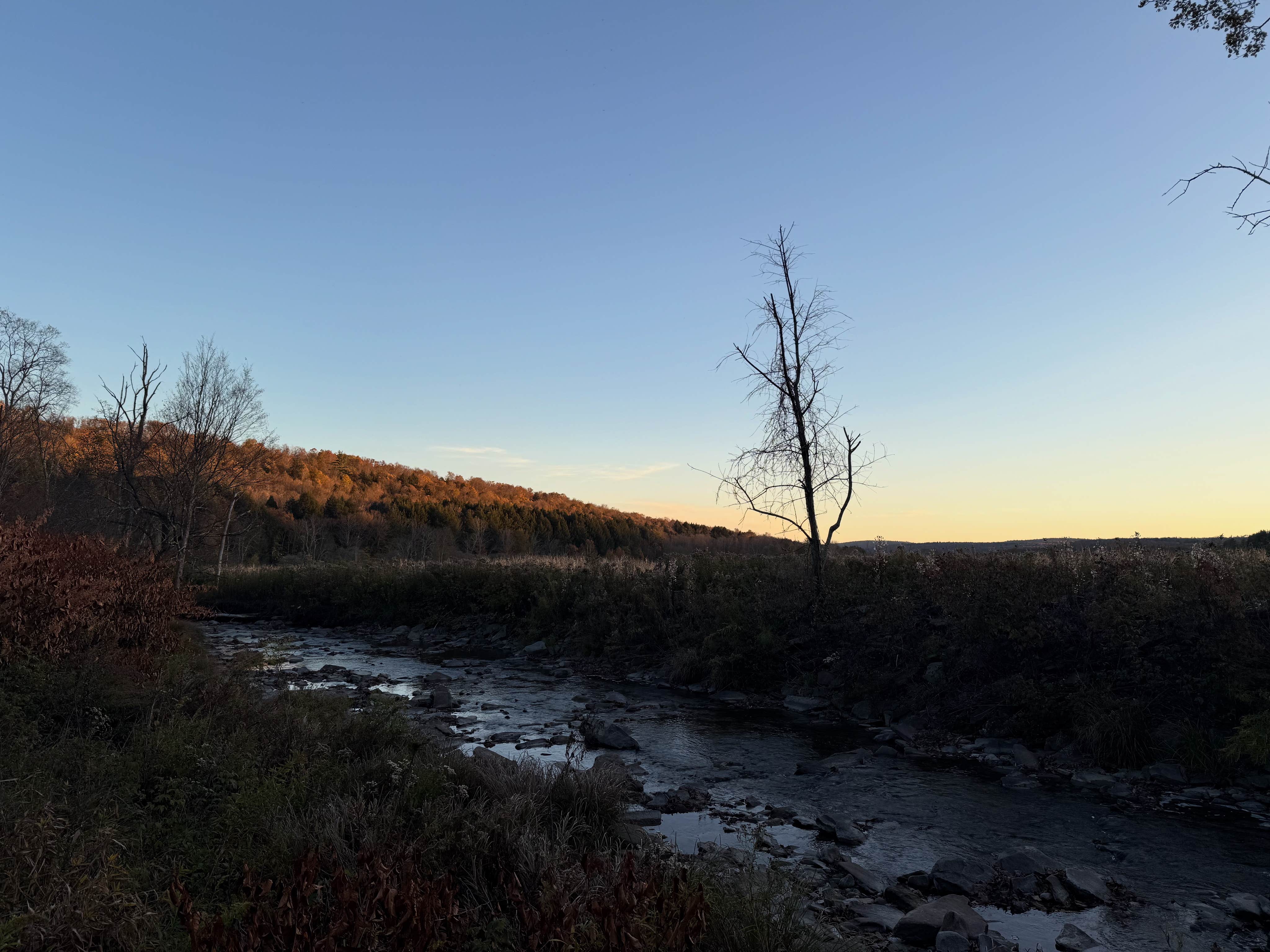 Camper submitted image from Live The Outdoors LLC - 3