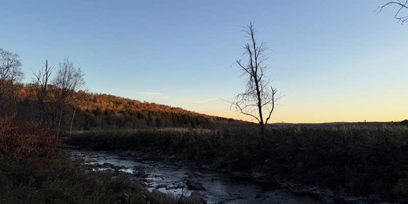 Camper submitted image from Live The Outdoors LLC