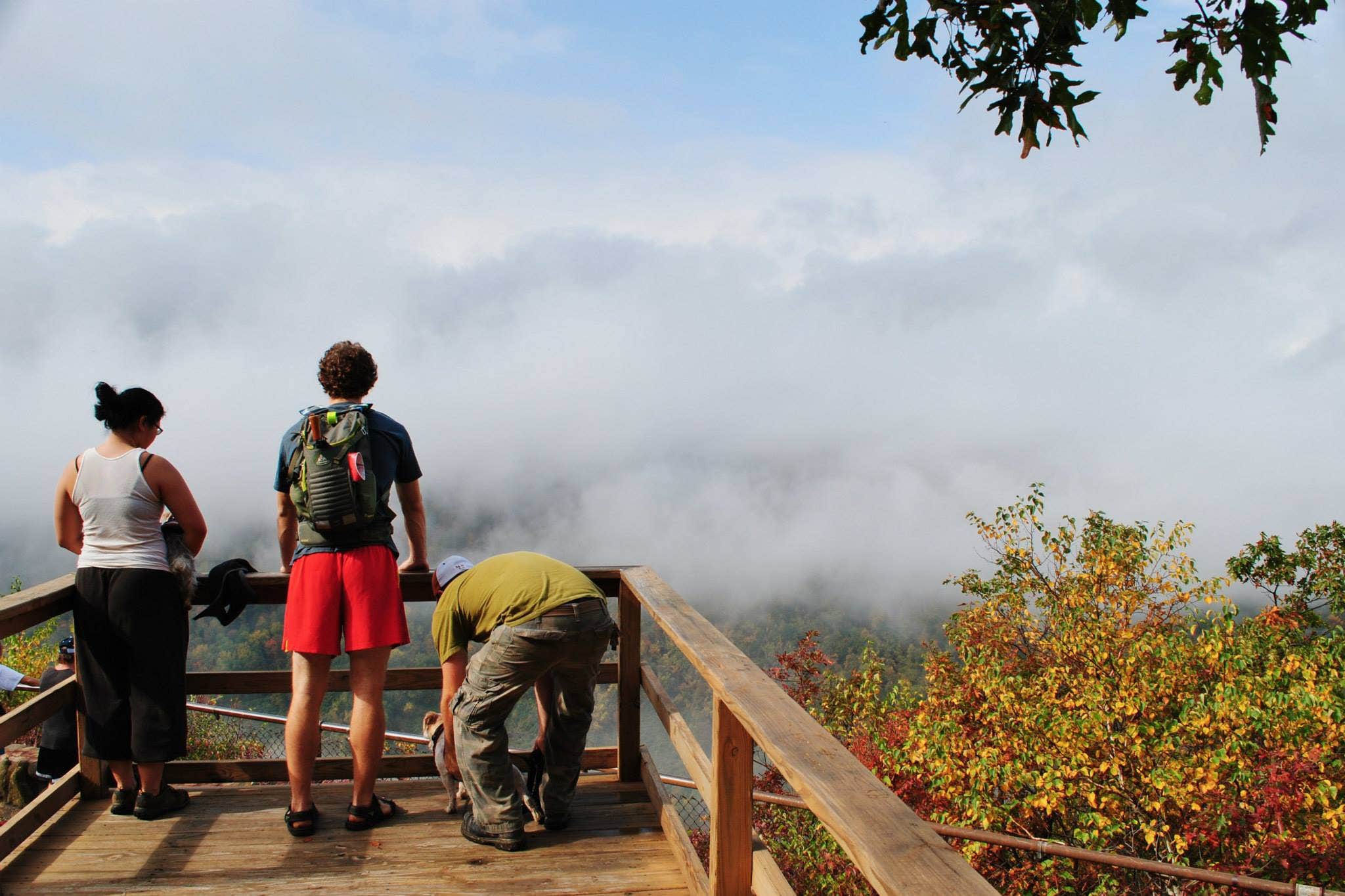 Camper submitted image from Ontario County Park at Gannett Hill - 3