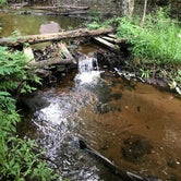 Review photo of Old Forge Camping Resort by Sara H., August 7, 2019