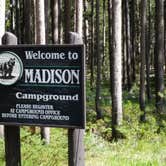 Review photo of Madison Campground — Yellowstone National Park by Dexter I., August 7, 2019