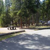 Review photo of Madison Campground — Yellowstone National Park by Dexter I., August 7, 2019