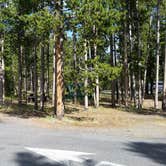 Review photo of Madison Campground — Yellowstone National Park by Dexter I., August 7, 2019