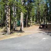 Review photo of Madison Campground — Yellowstone National Park by Dexter I., August 7, 2019