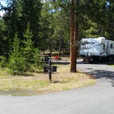 Review photo of Madison Campground — Yellowstone National Park by Dexter I., August 7, 2019