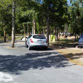 Review photo of Madison Campground — Yellowstone National Park by Dexter I., August 7, 2019