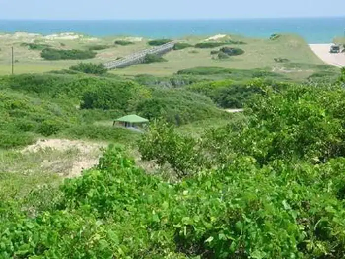 Frisco Campground — Cape Hatteras National Seashore