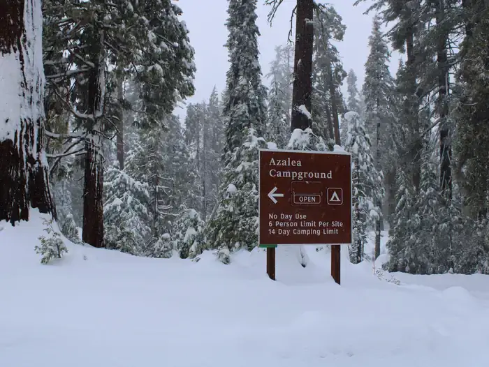 Camper-submitted photo at Azalea Campground — Kings Canyon National Park near Hume, CA