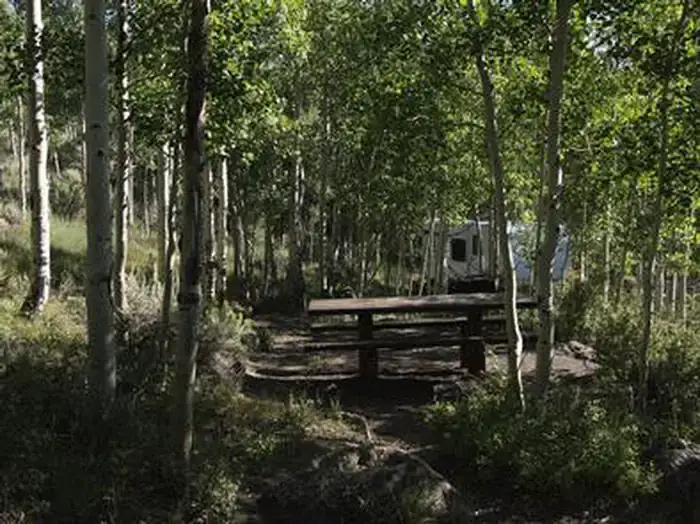Camper-submitted photo at Bowery Creek near Emery, UT