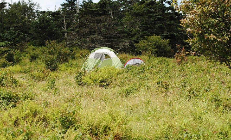Leah W.'s photo at Hickory Ridge Campground — Grayson Highlands State Park near Scottville, NC