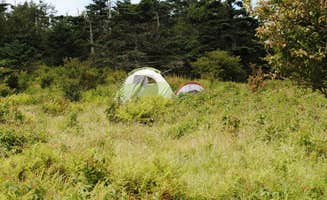 Leah W.'s photo at Hickory Ridge Campground — Grayson Highlands State Park near Mouth of Wilson, VA