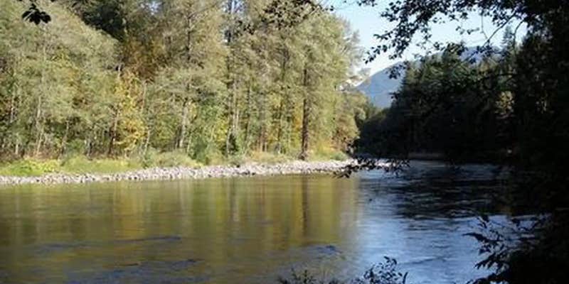 Camper submitted image from Money Creek Campground