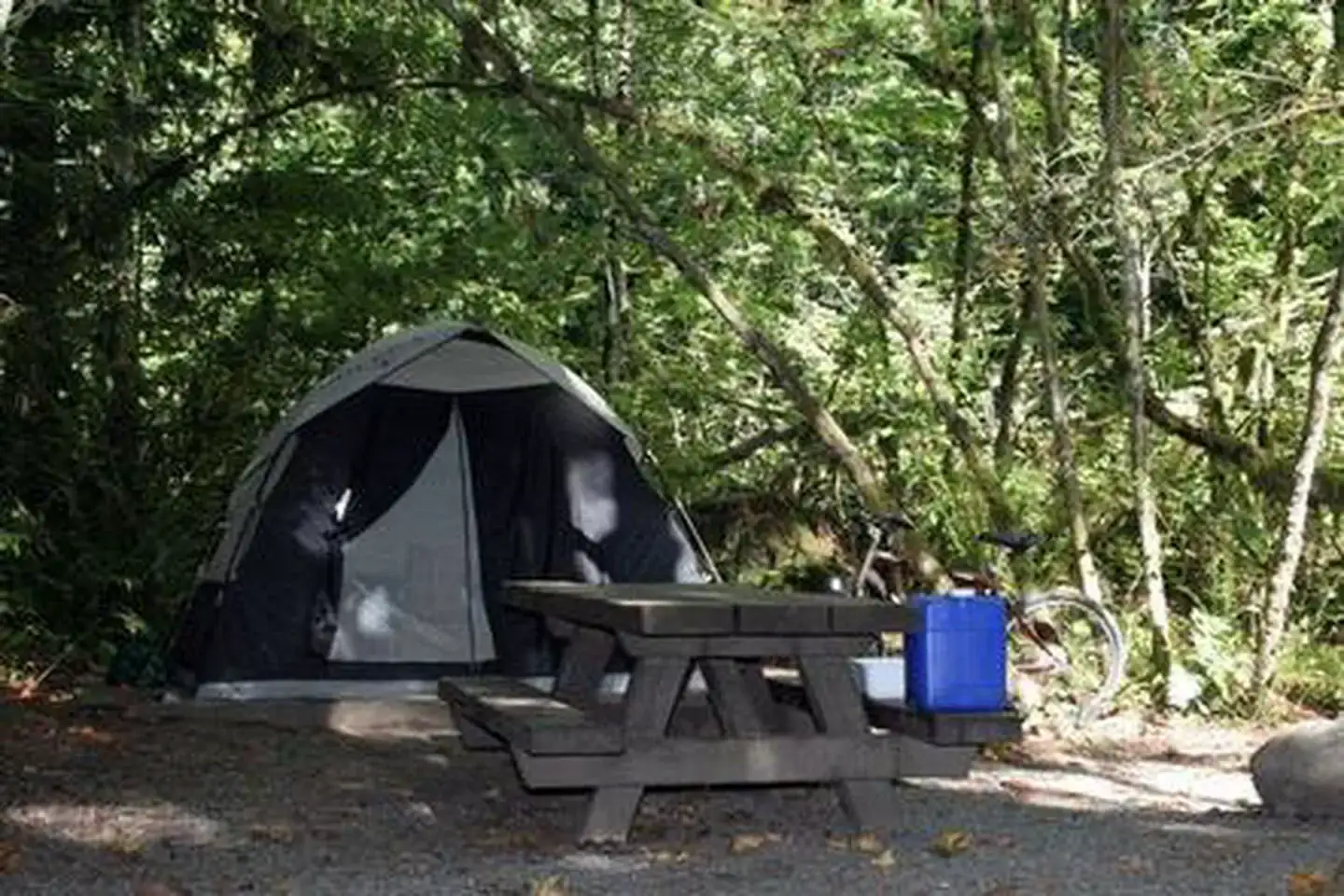 Camper-submitted photo at Money Creek Campground near Baring, WA