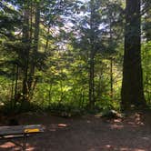 Review photo of Goodell Creek Campground — Ross Lake National Recreation Area by Tom K., August 7, 2019