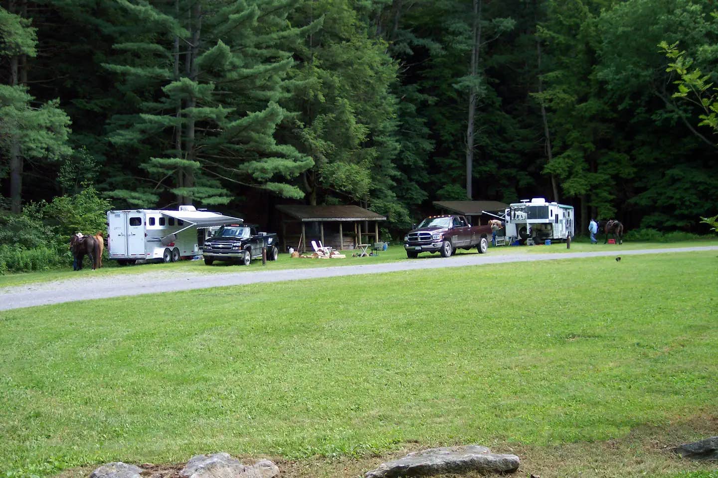 Camper submitted image from Kelly Pines Campground - 1