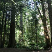 Review photo of Goodell Creek Campground — Ross Lake National Recreation Area by Tom K., August 7, 2019