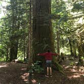 Review photo of Goodell Creek Campground — Ross Lake National Recreation Area by Tom K., August 7, 2019
