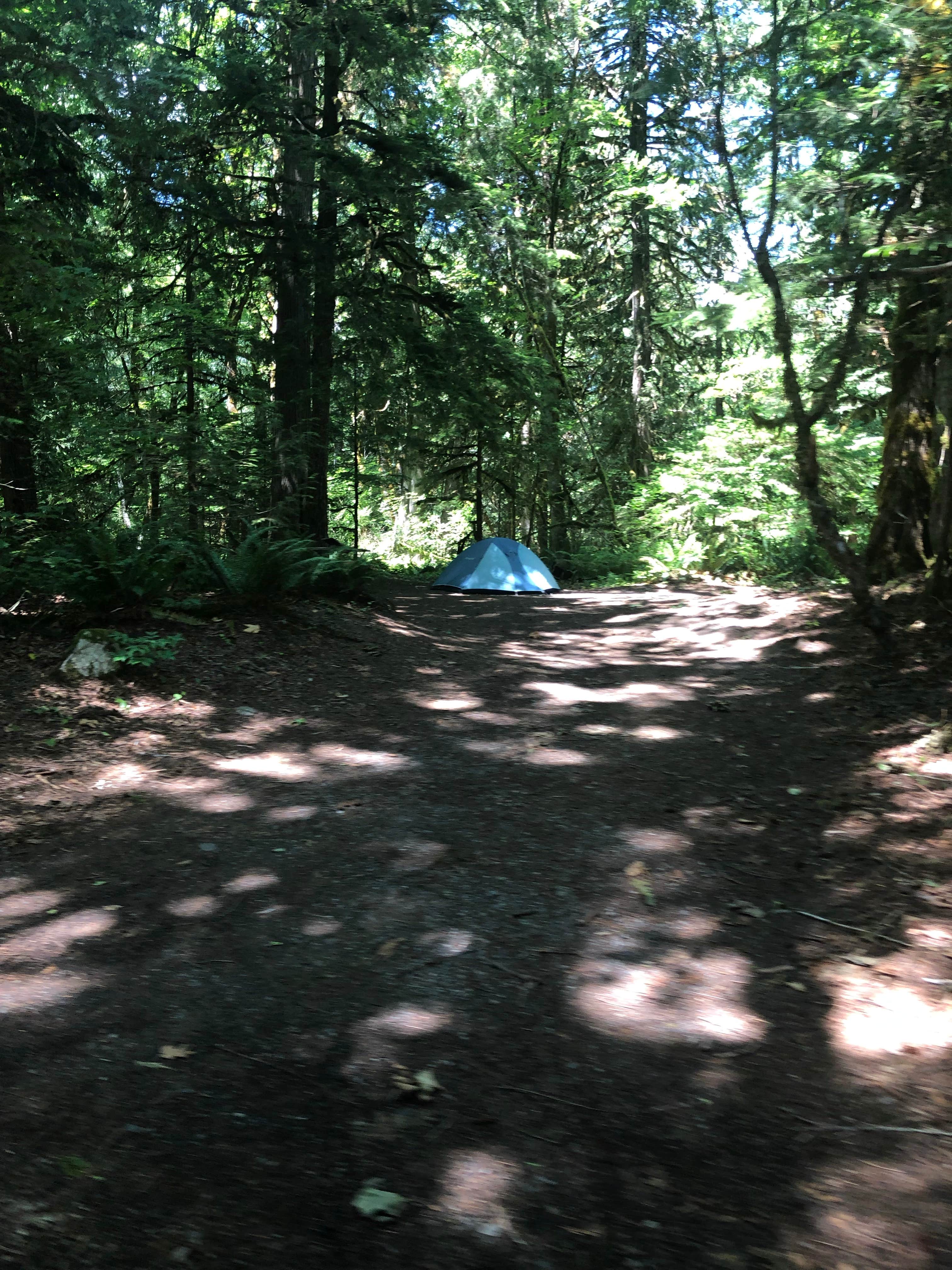 Tom K.'s photo at Goodell Creek Campground — Ross Lake National Recreation Area near Marblemount, WA