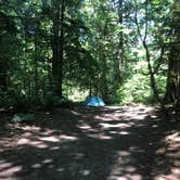 Review photo of Goodell Creek Campground — Ross Lake National Recreation Area by Tom K., August 7, 2019