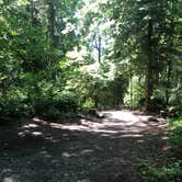 Review photo of Goodell Creek Campground — Ross Lake National Recreation Area by Tom K., August 7, 2019