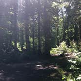Review photo of Goodell Creek Campground — Ross Lake National Recreation Area by Tom K., August 7, 2019