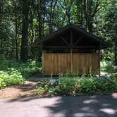 Review photo of Goodell Creek Campground — Ross Lake National Recreation Area by Tom K., August 7, 2019