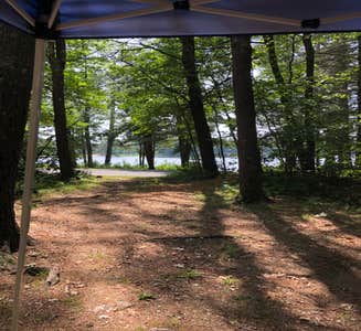 Camper-submitted photo from Pearl Hill State Park Campground
