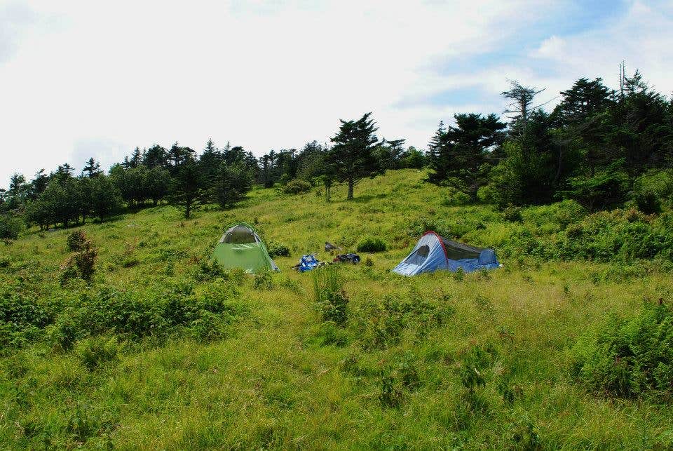 Leah W.'s photo at Hickory Ridge Campground — Grayson Highlands State Park near Troutdale, VA