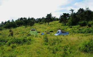 Leah W.'s photo at Hickory Ridge Campground — Grayson Highlands State Park near Troutdale, VA