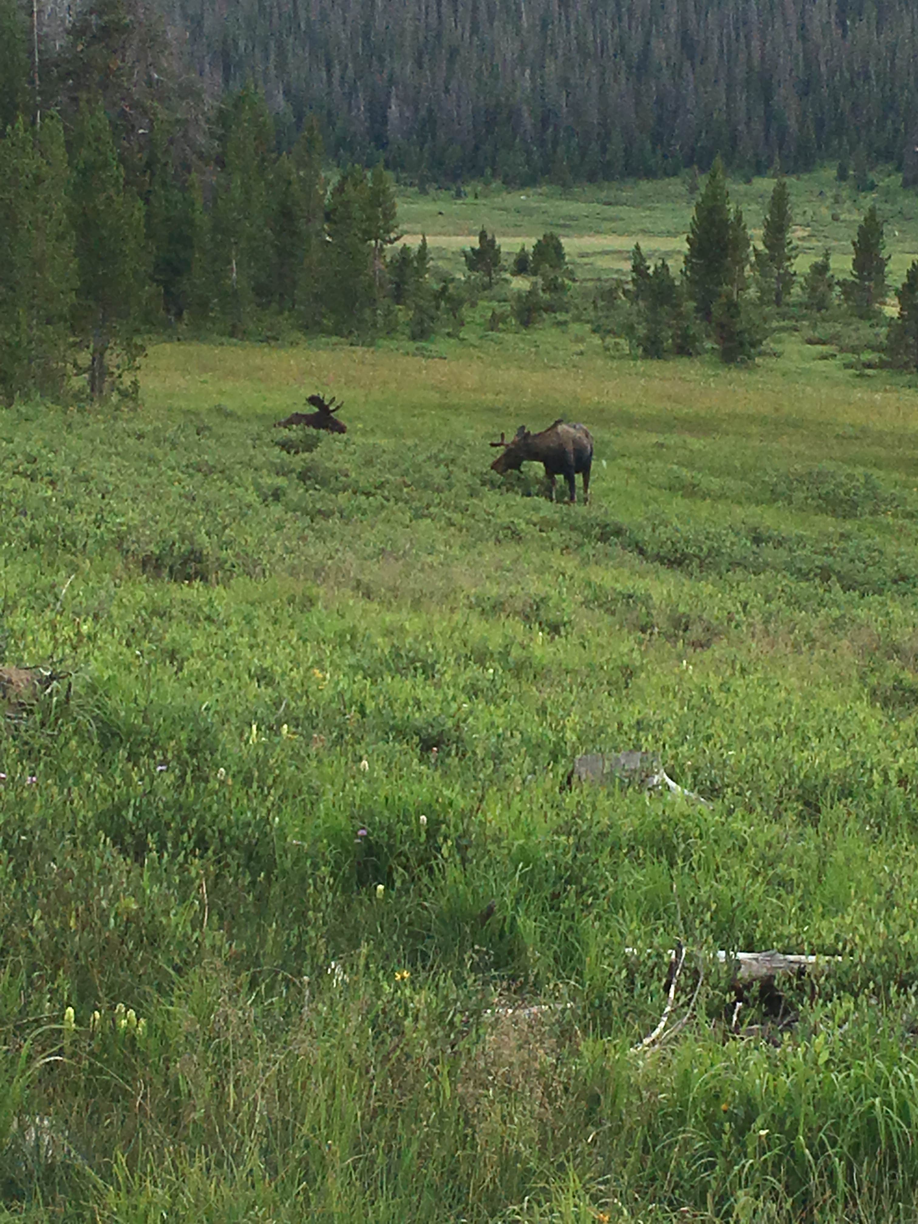Camper-submitted photo at Grandview Campground near Gould, CO