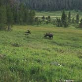 Review photo of Grandview Campground by Lucas S., August 7, 2019