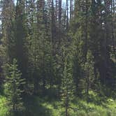 Review photo of Grandview Campground by Lucas S., August 7, 2019