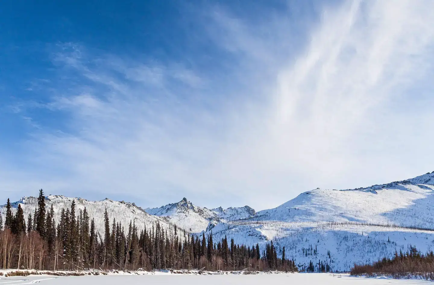 Camper-submitted photo at White Mountains National Recreation Area - Alaska Cabins near North Pole, AK