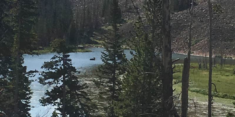 Camper submitted image from Grandview Campground