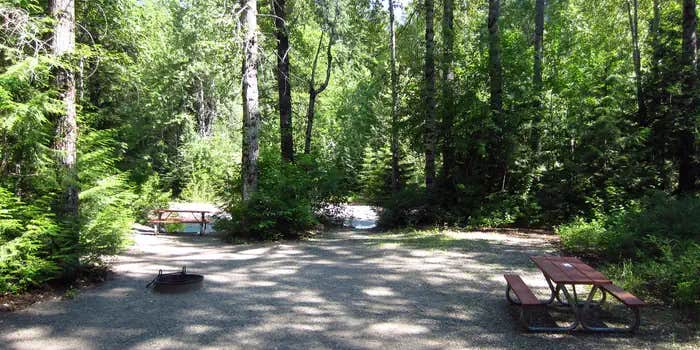 Camper submitted image from Avalanche Campground — Glacier National Park